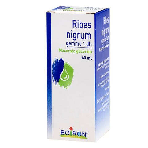 Ribes Nigrum