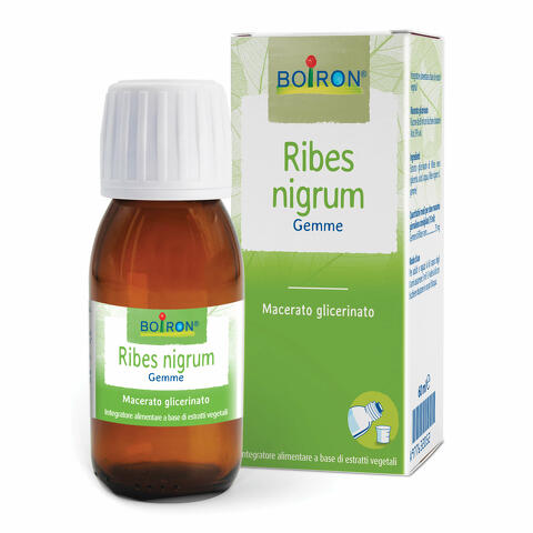 Ribes nigrum macerato glicerico 60ml