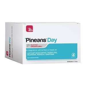Pineans - Day
