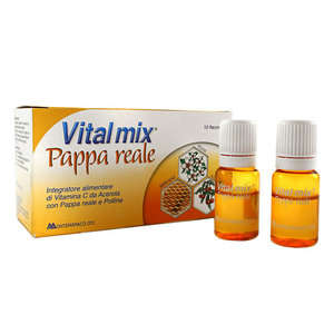 Vitalmix - Pappa Reale