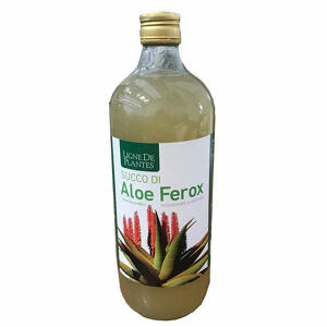 Ligne de plantes - Aloe Ferox Biologico 1 Litro