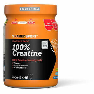 Namedsport - 100% Creatine 250 G